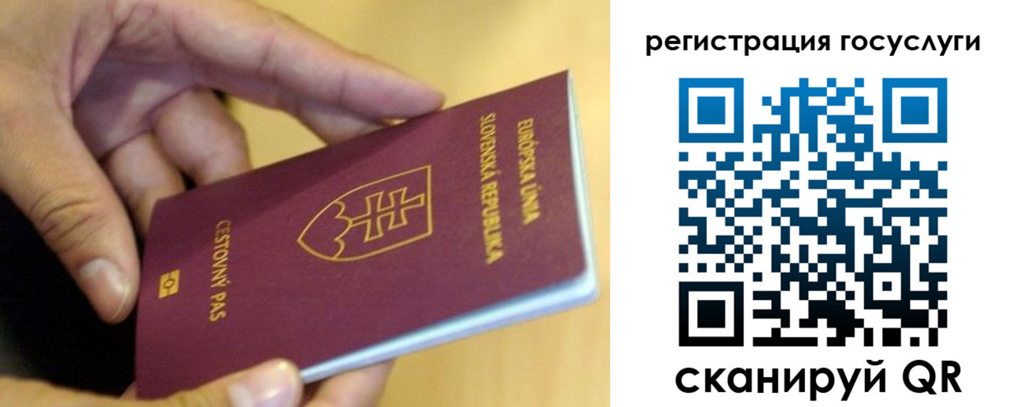 прописка в квартире в Алексине